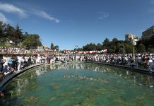 Irreecha: From Thanksgiving Ritual to Strong Symbol of Oromo Identity