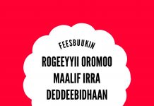 Qindoomina Biyya keessaafi Alaa waliin tahuudhaan Feesbuukii/Yuutuubii Rogeeyyota Oromoo ugguraa jiru beektuu?