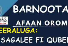 SEERA SAGALEE FI QUBEE AFAAN OROMOO – Kutaa-3ffaa