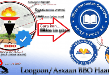 Dhufaatii ykn Ka’umsa Loogoo ykn Asxaa BBO Haaraa fi Komii Ummataa – Ragaalee fi Sababoota waliin – Xiinxala Ogeessa Fakkii fi Suursagalee